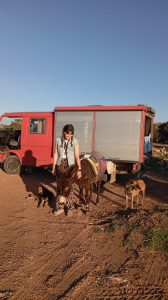 6b9fe300-96e6-4814-bdfb-66cbc74eaa93