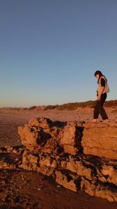 867fcf2a-d88a-4640-a1dc-15d0807f0a22