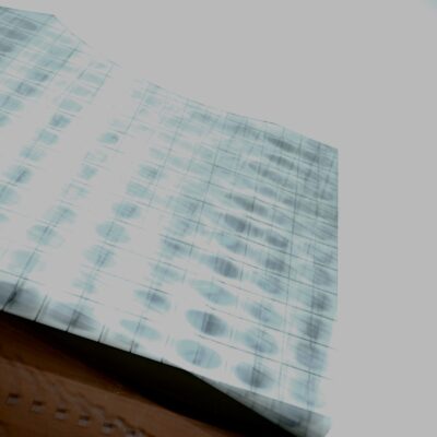 ELPHI | Limited Original Series